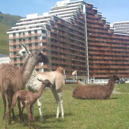 La Mongie Au Pied Des Pistes T2 46 M2 Parking Et Wifi Apartman *