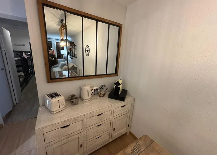 La Mongie Au Pied Des Pistes T2 46 M2 Parking Et Wifi