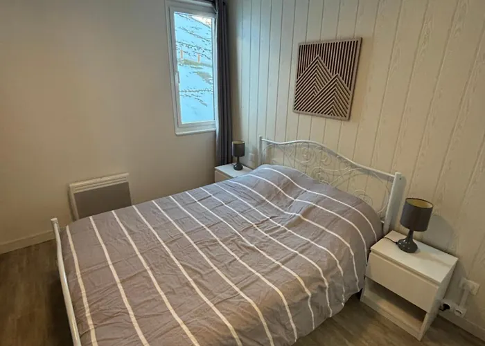 Apartman La Mongie Au Pied Des Pistes T2 46 M2 Parking Et Wifi *