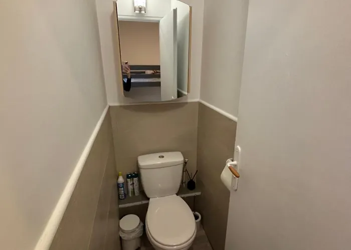 La Mongie Au Pied Des Pistes T2 46 M2 Parking Et Wifi *