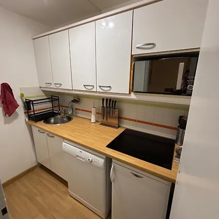 Apartament La Mongie Au Pied Des Pistes T2 46 M2 Parking Et Wifi *