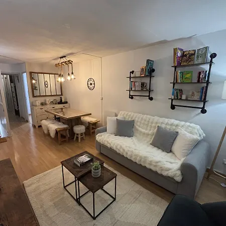 La Mongie Au Pied Des Pistes T2 46 M2 Parking Et Wifi Appartement *
