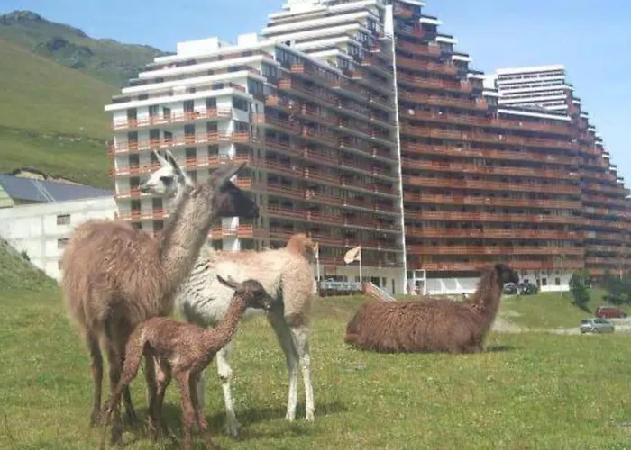 La Mongie Au Pied Des Pistes T2 46 M2 Parking Et Wifi Apartment *