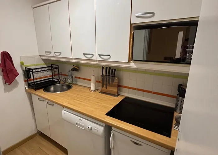 Apartment La Mongie Au Pied Des Pistes T2 46 M2 Parking Et Wifi *